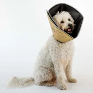 Pozostałe akcesoria dla psów - Kołnierz ochronny dla psa ALL FOUR PAWS Comfy Cone, rozmiar XS, 11 cm, brązowy - miniaturka - grafika 1
