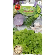 Nasiona i cebule - Sałata liściowa Lollo Bionda Baby Leaf W. Legutko - miniaturka - grafika 1