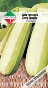 Nasiona i cebule - NASIONA Dynia Zwyczajna Kabaczek Złoty Cepelin 5g SPÓJNIA 324884 - miniaturka - grafika 1