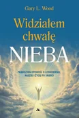 Religia i religioznawstwo - Widziałem chwałę Nieba - Gary L Wood - książka - miniaturka - grafika 1