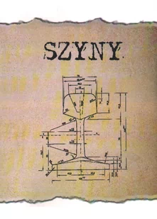 Szyny. Polska 1924. Album nawierzchni kolejowych.Reprint - Technika - miniaturka - grafika 1