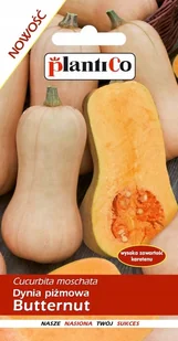 NASIONA Dynia Piżmowa Butternut 2g PLANTICO 401860 - Nasiona i cebule - miniaturka - grafika 1