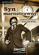 Audiobooki - literatura piękna - Syn marnotrawny - miniaturka - grafika 1