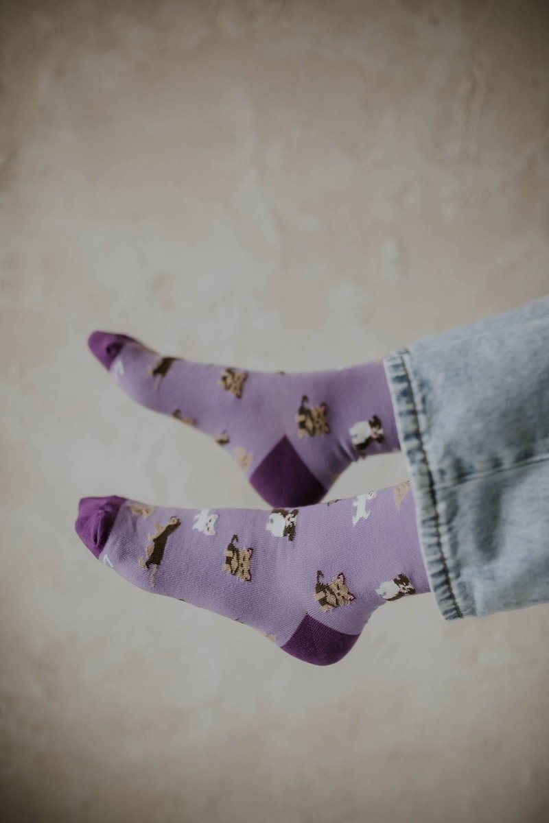 Skarpetki Szczeniaczki – Lawendowe