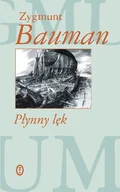 Filozofia i socjologia - Płynny lęk - miniaturka - grafika 1