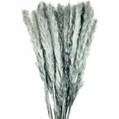 Sztuczne kwiaty - Trawa Pampasowa Szara Slim Bukiet 15Szt Pampasy - miniaturka - grafika 1