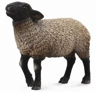 Figurki dla dzieci - Collecta Owca suffolk M - miniaturka - grafika 1