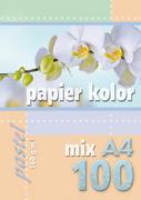Papier do drukarek - . Papier kolorowy A4 100k 160g pastel mix kolorów - miniaturka - grafika 1