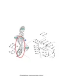 Części i akcesoria do maszyn rolniczych - CNH PAS SEPERATORA I PODSIEWACZA NEW HOLLAND 84015531, 84817635 - miniaturka - grafika 1