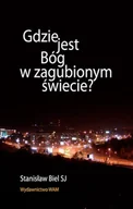 Religia i religioznawstwo - Gdzie jest Bóg w zagubionym świecie? - miniaturka - grafika 1