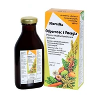 Przeziębienie i grypa - ZIOŁO-PIAST Floradix Odporność tonik bez alkoholu 250ml 3031441 - miniaturka - grafika 1