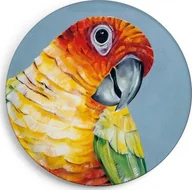 Magnesy - Magnes Papuga - miniaturka - grafika 1