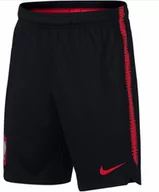 Spodnie sportowe męskie - SPODENKI SPORTOWE NIKE XL JUNIOR 158-170 CM - miniaturka - grafika 1