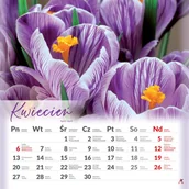 Kalendarze - Kalendarz ścienny Kwiaty 2026 podgląd na 3 miesiące 33x33cm - miniaturka - grafika 1