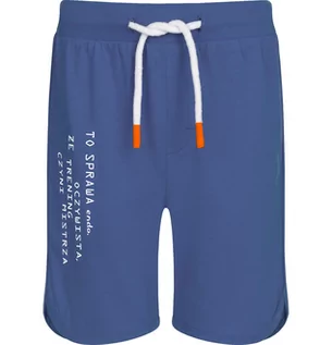 Spodnie i spodenki dla chłopców - Krótkie spodenki dla chłopca, niebieskie, 3-8 lat - grafika 1