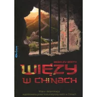 Powieści - Orion plus Bradley Booth Więzy w Chinach - miniaturka - grafika 1