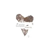 Poezja - Głupie Łzy Jarosław Mikołajewski - miniaturka - grafika 1