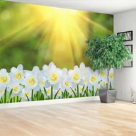 Fototapety - Fototapeta Narcyz Biały - miniaturka - grafika 1