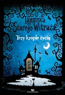 E-booki dla dzieci i młodzieży - Trzy krople życia. Tajemnica starego witraża. Tom 1 - miniaturka - grafika 1