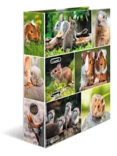 Segregator A4 - Gryzonie - Herma - Segregatory - miniaturka - grafika 1