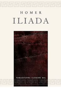 Towarzystwo Naukowe KUL Iliada - Homer - Książki podróżnicze - miniaturka - grafika 1