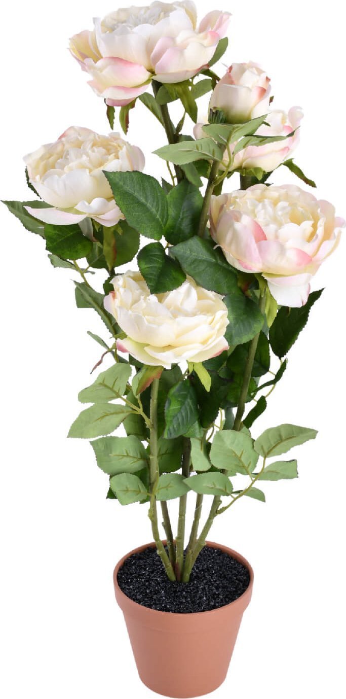 Direct Home and Garden Sztuczna róża w doniczce