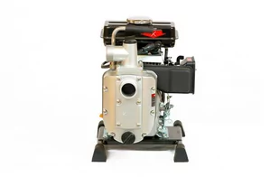 MOTOPOMPA CIŚNIENIOWA WEIMA WMQGZ40-20 - Pompy wodne - miniaturka - grafika 4