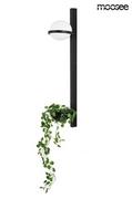 Lampy ścienne - Moosee lampa ścienna PLANT WALL czarna MSE010400222 [18236699] - miniaturka - grafika 1