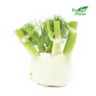 Szybkie dania obiadowe - 7 Kg - Opakowanie Zbiorcze (Kg) - Koper Włoski Świeży (Fenkuł) Bio (Około 7 Kg ) - miniaturka - grafika 1