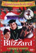 Kino familijne DVD - Blizzard: latający renifer - miniaturka - grafika 1