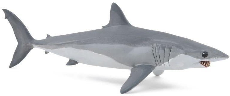 Ostronos atlantycki rekin mako EDUKAMP