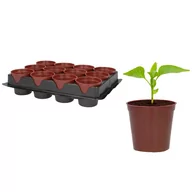 Donice - Plastikowe doniczki do rozsady 12 szt. z paletką, średnica 6 cm 1 paletka - miniaturka - grafika 1