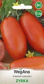 Nasiona i cebule - Pomidor karłowy Zyska 0,5g nasiona - WegAna - miniaturka - grafika 1