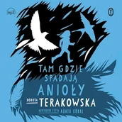 Audiobooki dla dzieci i młodzieży - Tam, gdzie spadają Anioły Dorota Terakowska - miniaturka - grafika 1