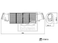 Filtry powietrza - Filtr powietrza Febi Bilstein 173613 - miniaturka - grafika 1