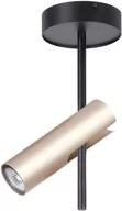 Lampy sufitowe - Sigma Leda 1 Sufitowa 33108 Czarny Złoty - miniaturka - grafika 1