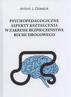 Technika - Psychopedagogiczne aspekty kształcenia w zakresie bezpieczeństwa ruchu drogowego - miniaturka - grafika 1