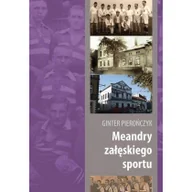 Poradniki hobbystyczne - Silesia Progress Meandry załęskiego sportu Ginter Pierończyk - miniaturka - grafika 1