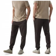 Dresy męskie - SPODNIE dresowe męskie 4F TRENINGOWE joggery sportowe 4F brązowe 3XL - miniaturka - grafika 1