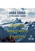 Audiobooki - kryminał, sensacja, thriller - CD MP3 Dolina straconych złudzeń. Piotr Sauer. Tom 2 - miniaturka - grafika 1