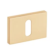 Szyldy i rozety - ROZETA PROSTOKĄTNA VDS KLUCZ R76F KOLOR ZŁOTY/SATYNA - miniaturka - grafika 1