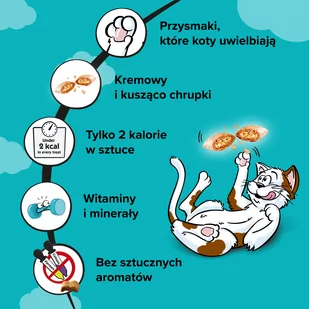 DREAMIES 6x60g –przysmak dla kota, o smaku wybornego łososia - Przysmaki dla kotów - miniaturka - grafika 3