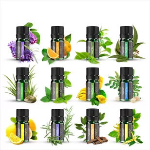 Sunvalley Sunvalley Anjou Zestaw olejków eterycznych AJ-PCN013 12x5ml - Aromaterapia - miniaturka - grafika 1