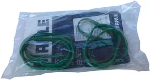 Uszczelki kolektora ssącego Ford Explorer 3,5 V6 EcoBoost - Silnik - akcesoria - miniaturka - grafika 1