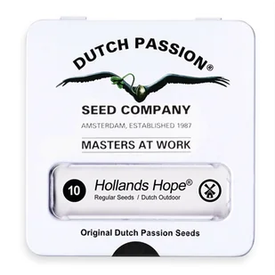 Nasiona konopi Dutch Passion - Hollands Hope (regular)10 szt. - Nasiona i cebule - miniaturka - grafika 1