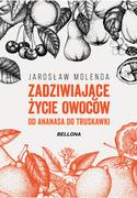 Felietony i reportaże - Zadziwiające życie owoców. Od ananasa do truskawki - miniaturka - grafika 1