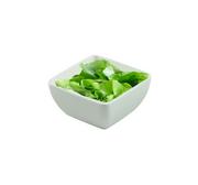 Wyposażenie lokali gastronomicznych - Kwadratowa salaterka z melaminy (4 kolory) DB-0100-0 - zielony - miniaturka - grafika 1