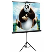 Ekrany projekcyjne - Sbox Ekran Projekcyjny 200x200cm 112" - miniaturka - grafika 1