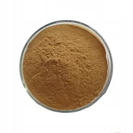 Herbata - EXTRACT Pietruszka liść Petroselinum leaf 100 g - miniaturka - grafika 1