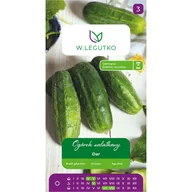 Nasiona i cebule - Ogórek gruntowy sałatkowy Dar nasiona warzyw W.Legutko - miniaturka - grafika 1
